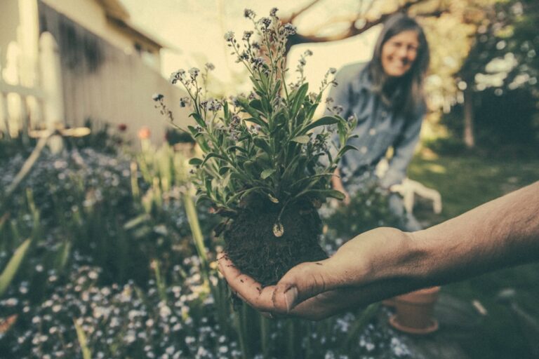 Seasonal Gardening: What to Plant Throughout the Year
